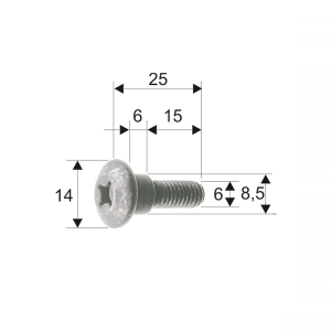 Bodywork screw RMS